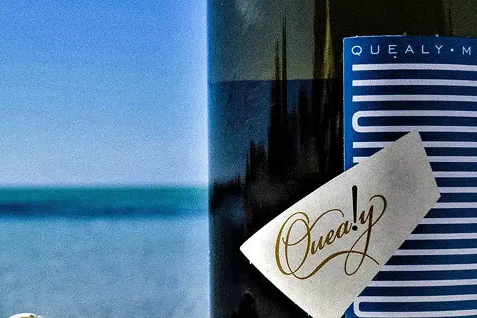 Mornington Peninsula 2-6 guests Lunch and inc Wine Tasting at Quealy Winemakers