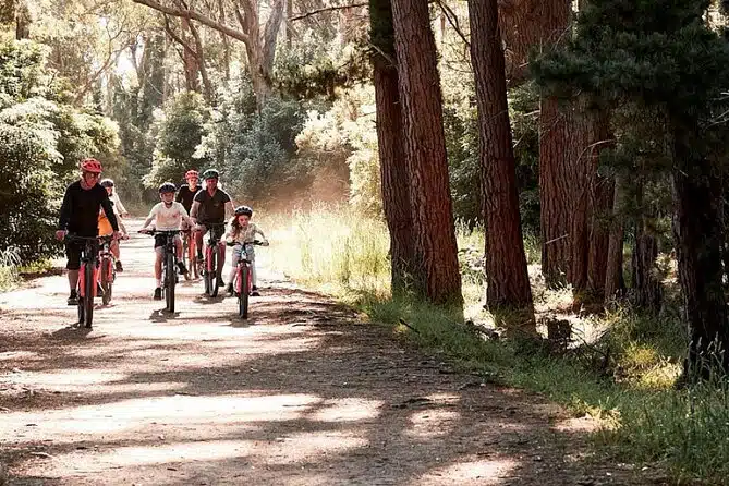 Mornington Peninsula guided e-bike tour