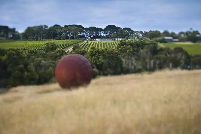 Estate to Plate: Montalto Vineyard Gourmet Lunch and Wine-Tasting Tour