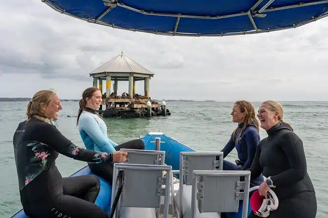 Dolphin and Seal Swim Reef Snorkel Boat Tour Mornington Peninsula