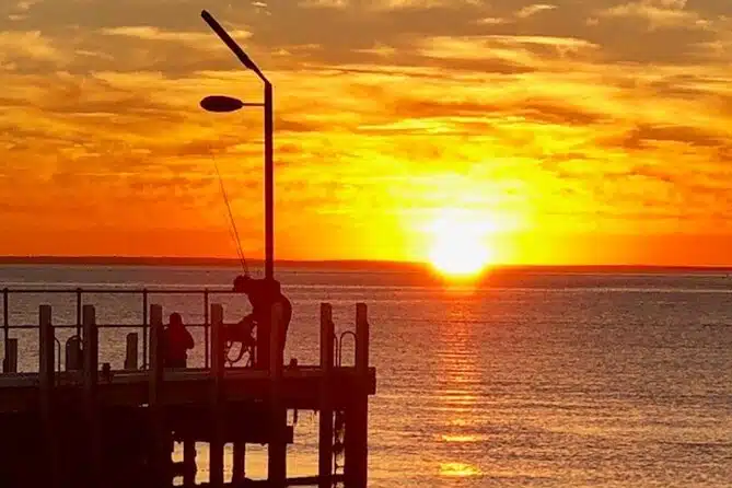 Mornington Peninsula Sightseeing Private Full Day Tour from Melbourne 2-6 guests